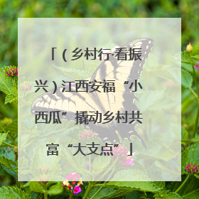 （乡村行·看振兴）江西安福“小西瓜”撬动乡村共富“大支点”